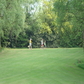 golf 006